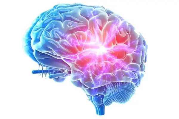 artistic impression of a brain with an area of focus