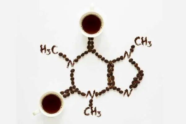 the molecular structure of caffeine