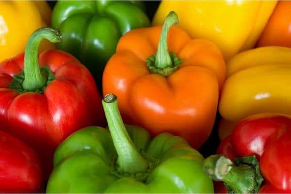 Colourful peppers